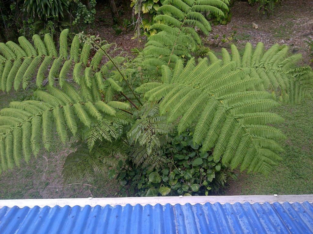 Harmony Villa Pont Casse Luaran gambar